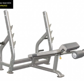 Máy chạy bộ Lifespan Tr2000i