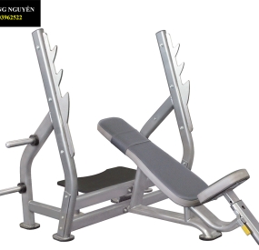 Máy chạy bộ Lifespan Tr2000i