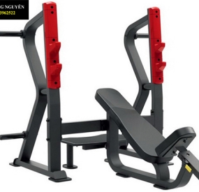 Máy chạy bộ Lifespan Tr2000i
