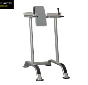 Máy chạy bộ Lifespan Tr2000i