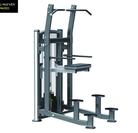 Máy chạy bộ Lifespan Tr2000i