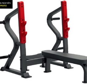 Máy chạy bộ Lifespan Tr2000i