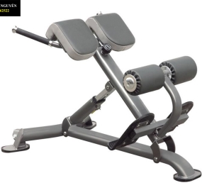 Máy chạy bộ Lifespan Tr2000i