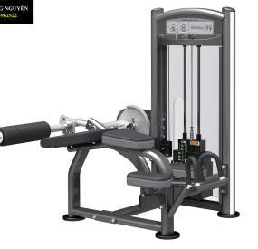 Máy chạy bộ Lifespan Tr2000i
