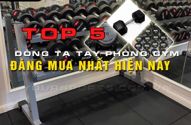 CUNG CẤP THIỆT BỊ GYM MARINA BAY VŨNG TÀU 