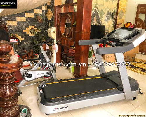 4 bài tập giúp giảm mỡ bắp tay sau chỉ sau 4 tuần