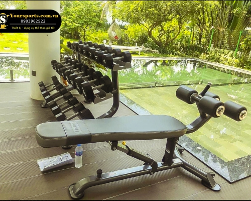 4 bài tập giúp giảm mỡ bắp tay sau chỉ sau 4 tuần