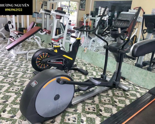 4 bài tập giúp giảm mỡ bắp tay sau chỉ sau 4 tuần