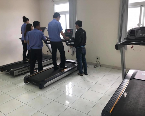 4 bài tập giúp giảm mỡ bắp tay sau chỉ sau 4 tuần