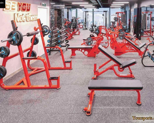 4 bài tập giúp giảm mỡ bắp tay sau chỉ sau 4 tuần