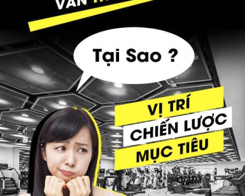 4 bài tập giúp giảm mỡ bắp tay sau chỉ sau 4 tuần