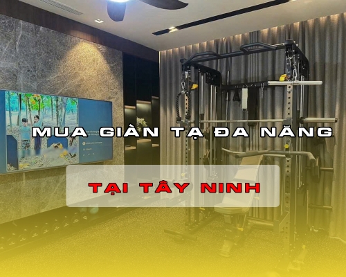 4 bài tập giúp giảm mỡ bắp tay sau chỉ sau 4 tuần