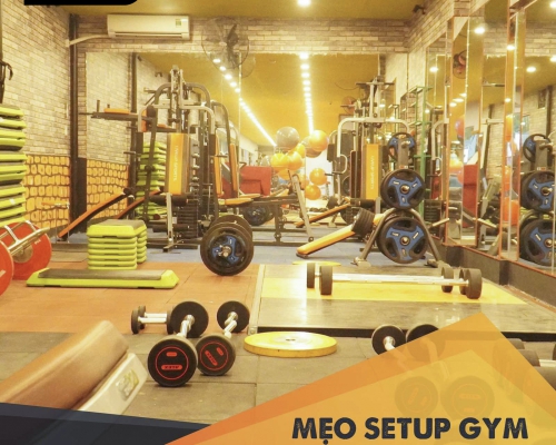 4 bài tập giúp giảm mỡ bắp tay sau chỉ sau 4 tuần