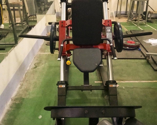 4 bài tập giúp giảm mỡ bắp tay sau chỉ sau 4 tuần