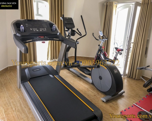 4 bài tập giúp giảm mỡ bắp tay sau chỉ sau 4 tuần