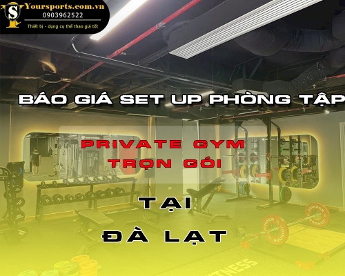 4 bài tập giúp giảm mỡ bắp tay sau chỉ sau 4 tuần