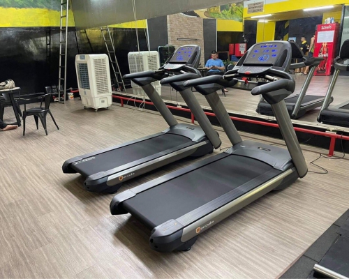 4 bài tập giúp giảm mỡ bắp tay sau chỉ sau 4 tuần